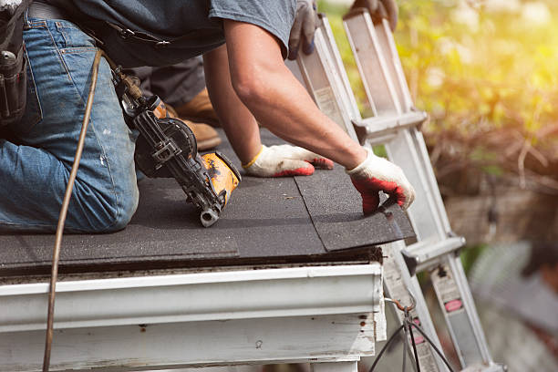 Best Roof Gutter Cleaning  in Folsom, CA